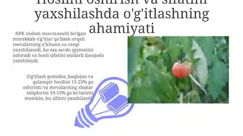 Sabzavotning o'g'itilishi 3