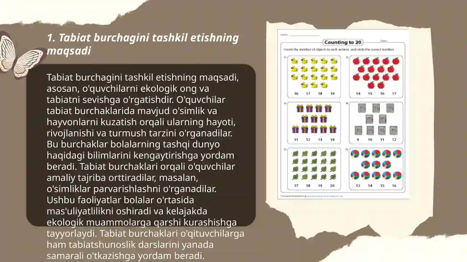 Tabiat burchagini tashkil etish texnologiyasi 3