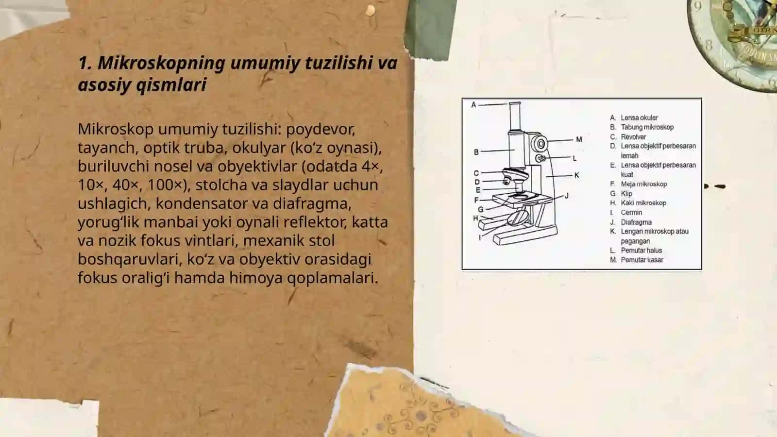 Mikroskop tuzilishi va u bilan ishlash qoidalari 3