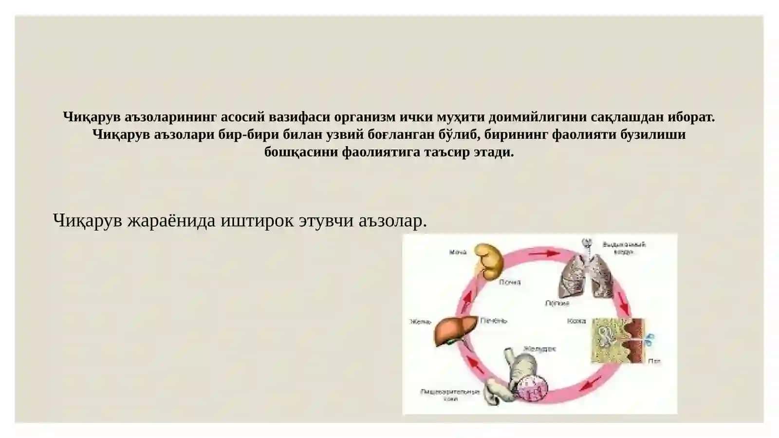 Чикарувжараёнлари 3