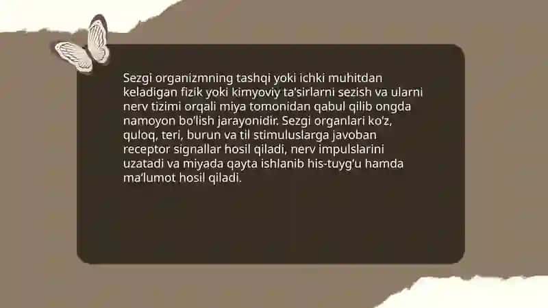Sezgi 3