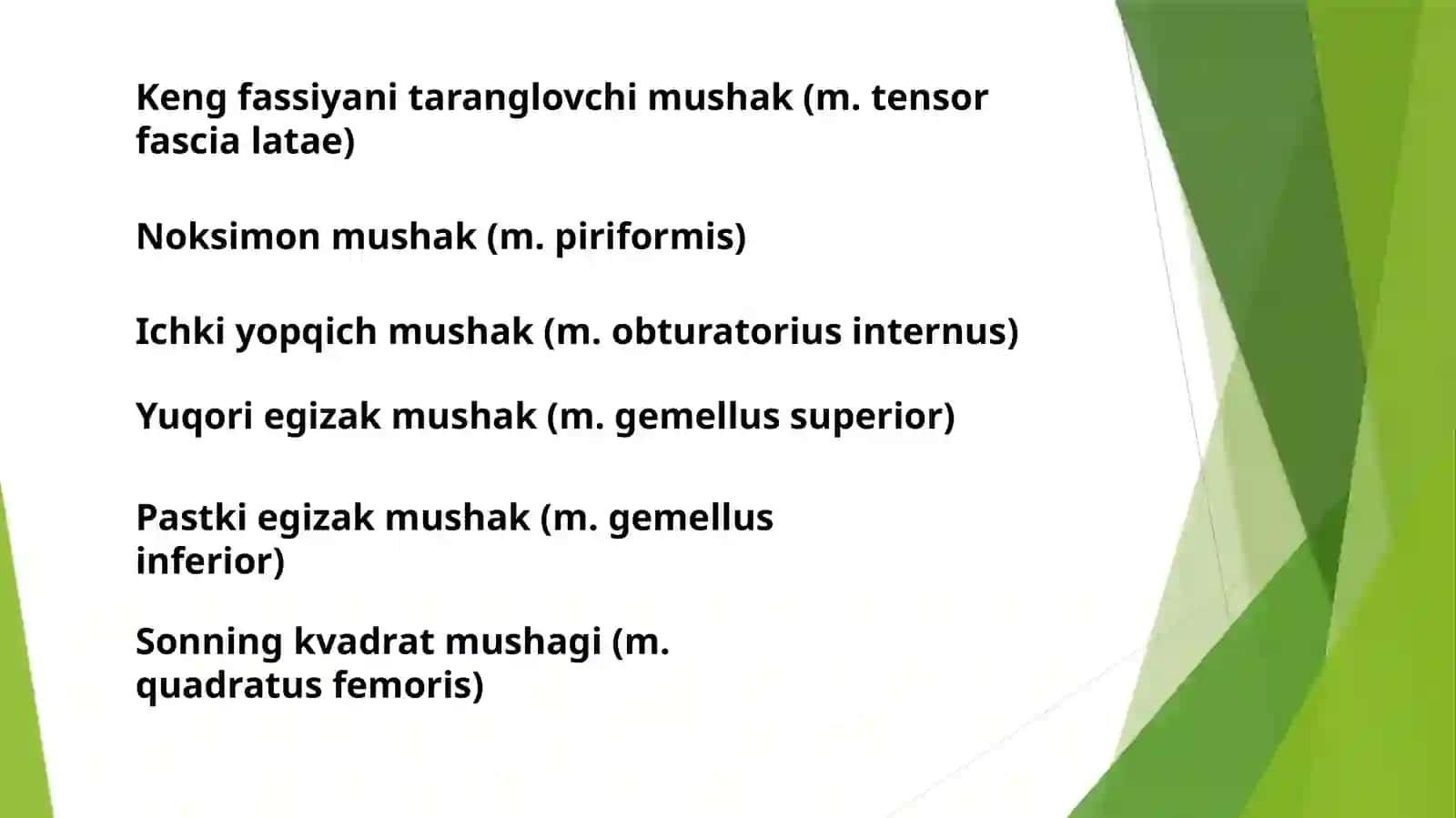 Chanoqning tashqiy uzasida mushaklar 3