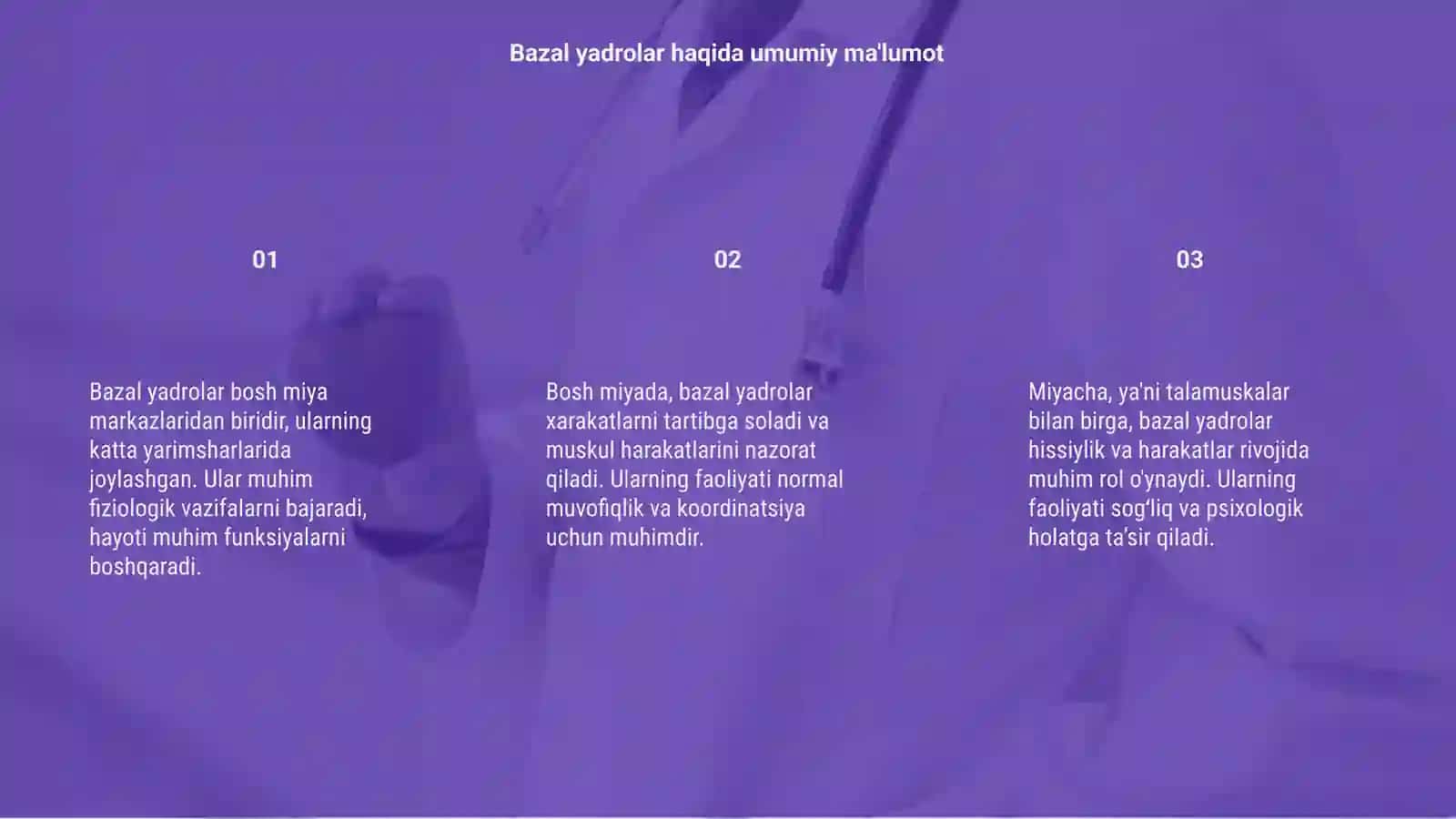 Bazal yadrolar. Bosh miya katta yarimsharlari va miyacha fiziologiyasi 3