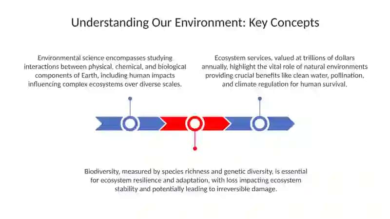 Understanding Our Environment 3