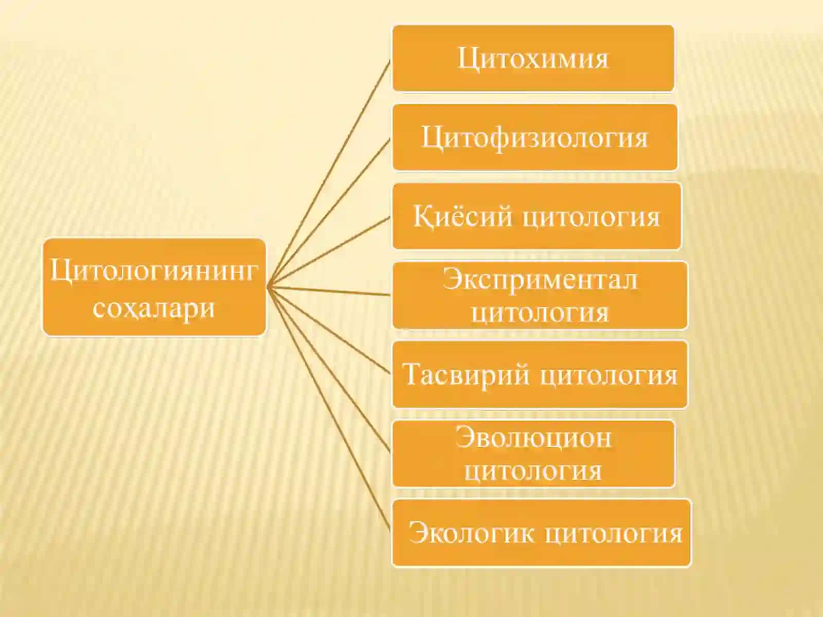 Цитология фанининг мазмуни, мақсади ва вазифалари 3