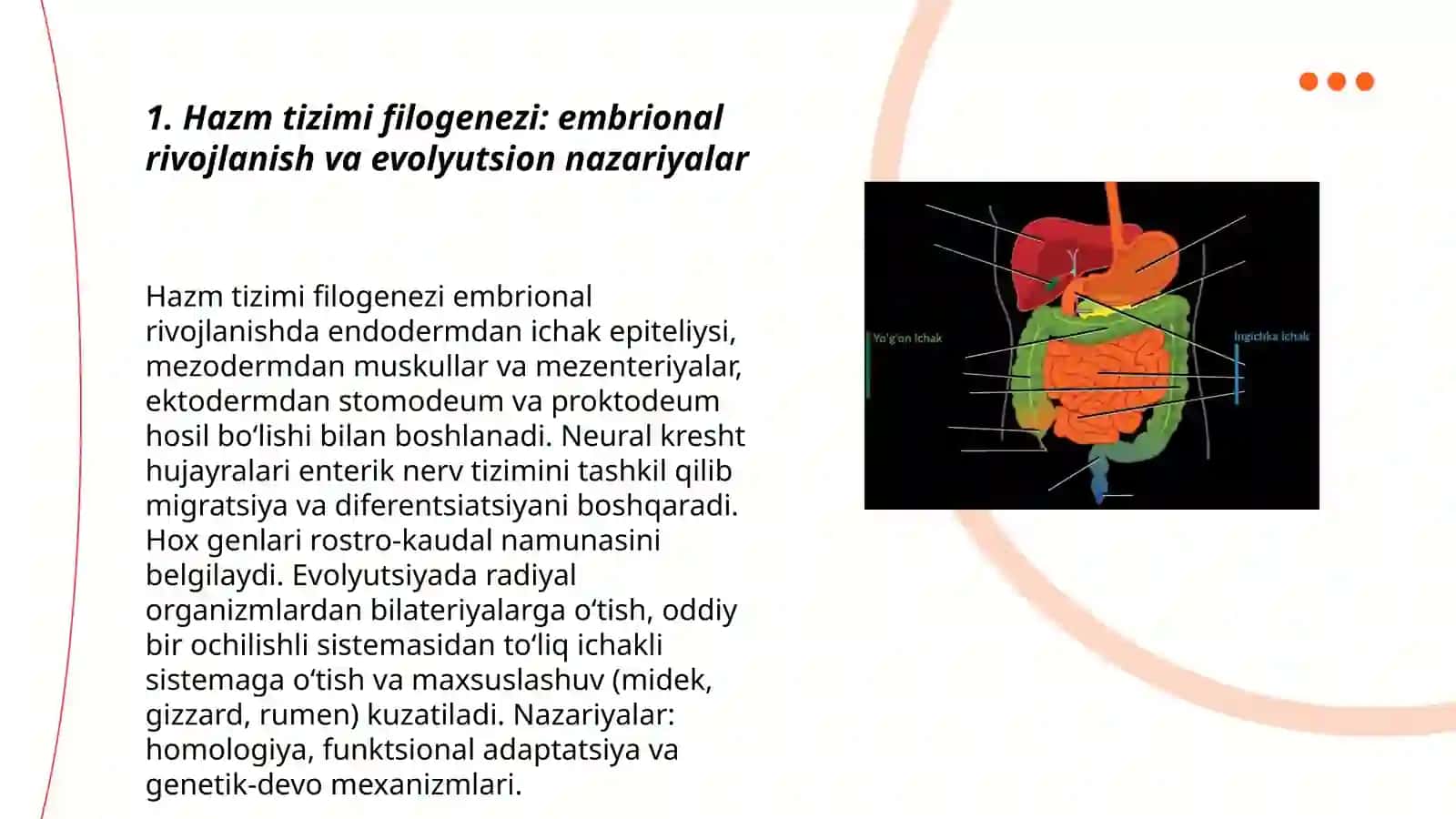 Hazm tizimi filogenezi va buzilishlari 3