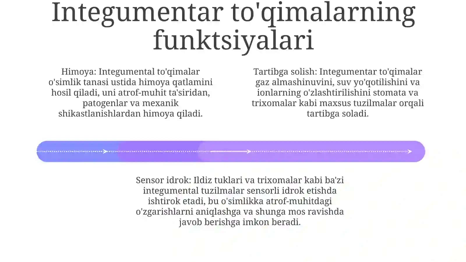 Pokrovnaya Tkan Rasteniy (epidermal to'qima) 3