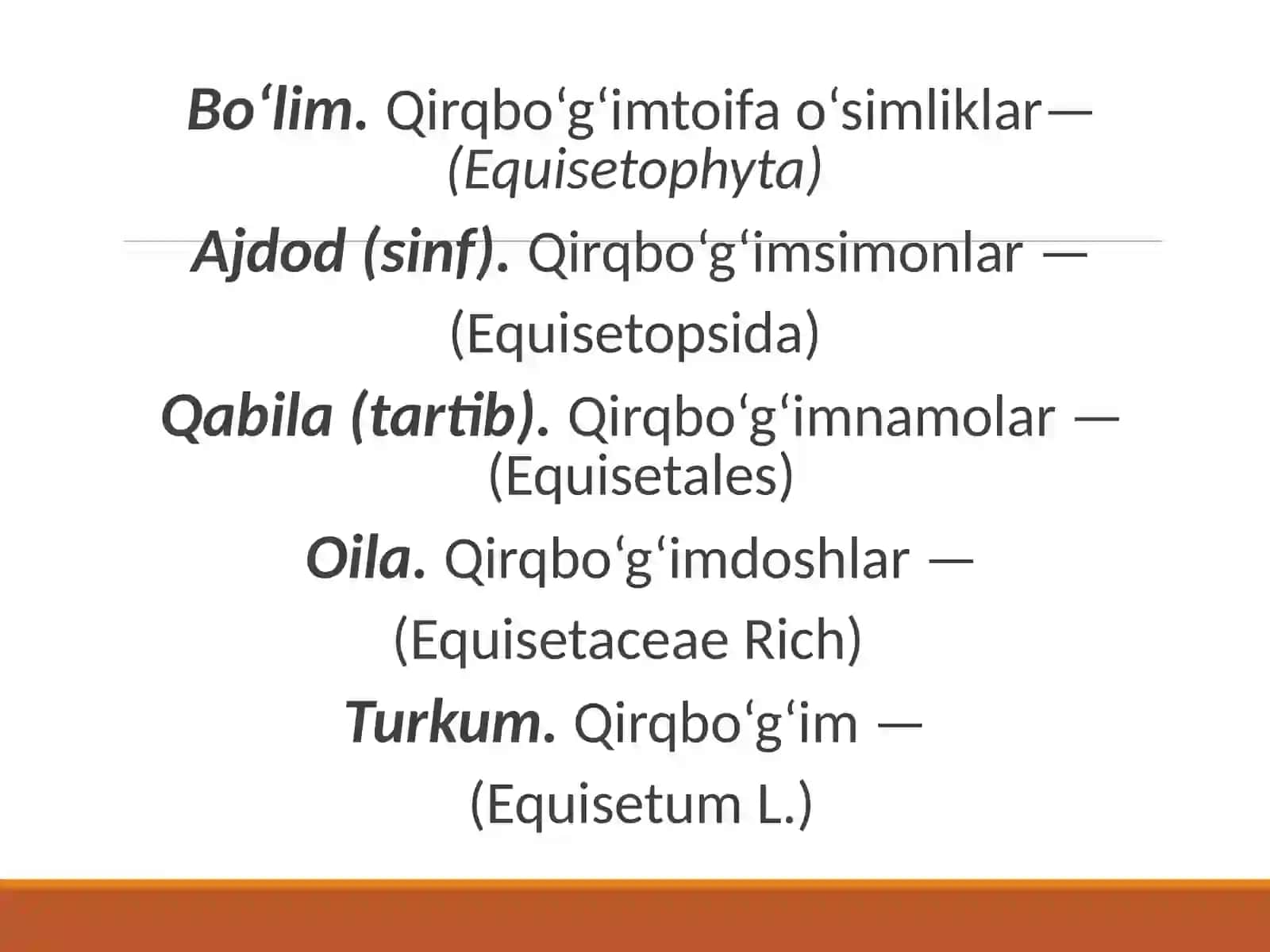 Qirq  bo’g’im  toifa  o’simliklar  (EQUISETOPHYTA) 3