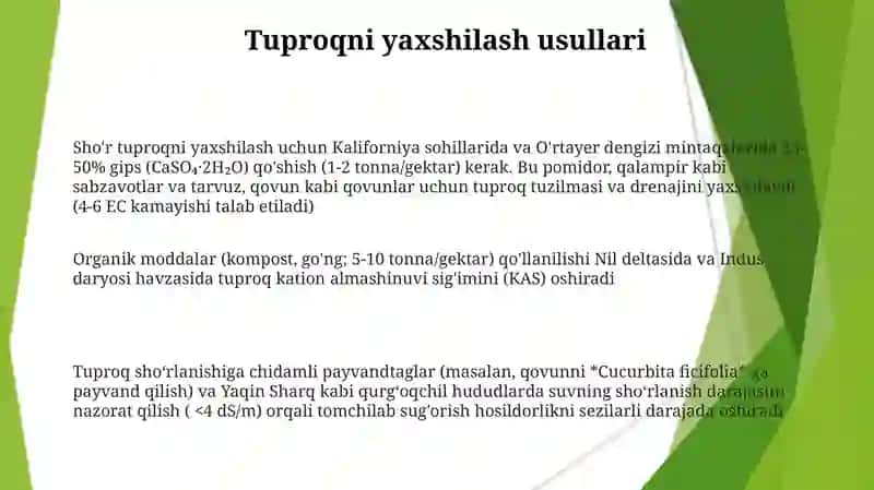 Shoʻrlangan yerlarda sabzavot va poliz ekinlarini yetishtirishning oʻziga xos xususiyatlari 3