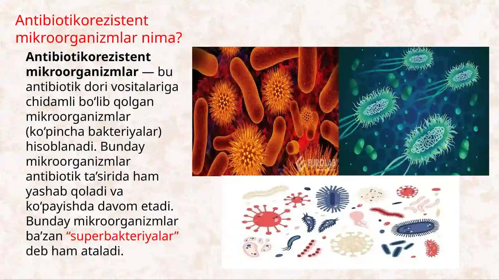Antibiotikorezistent mikroorganizmlar shtammlarining tarqalishi.Biriktiruvchi toʻqimaning somatik va 3