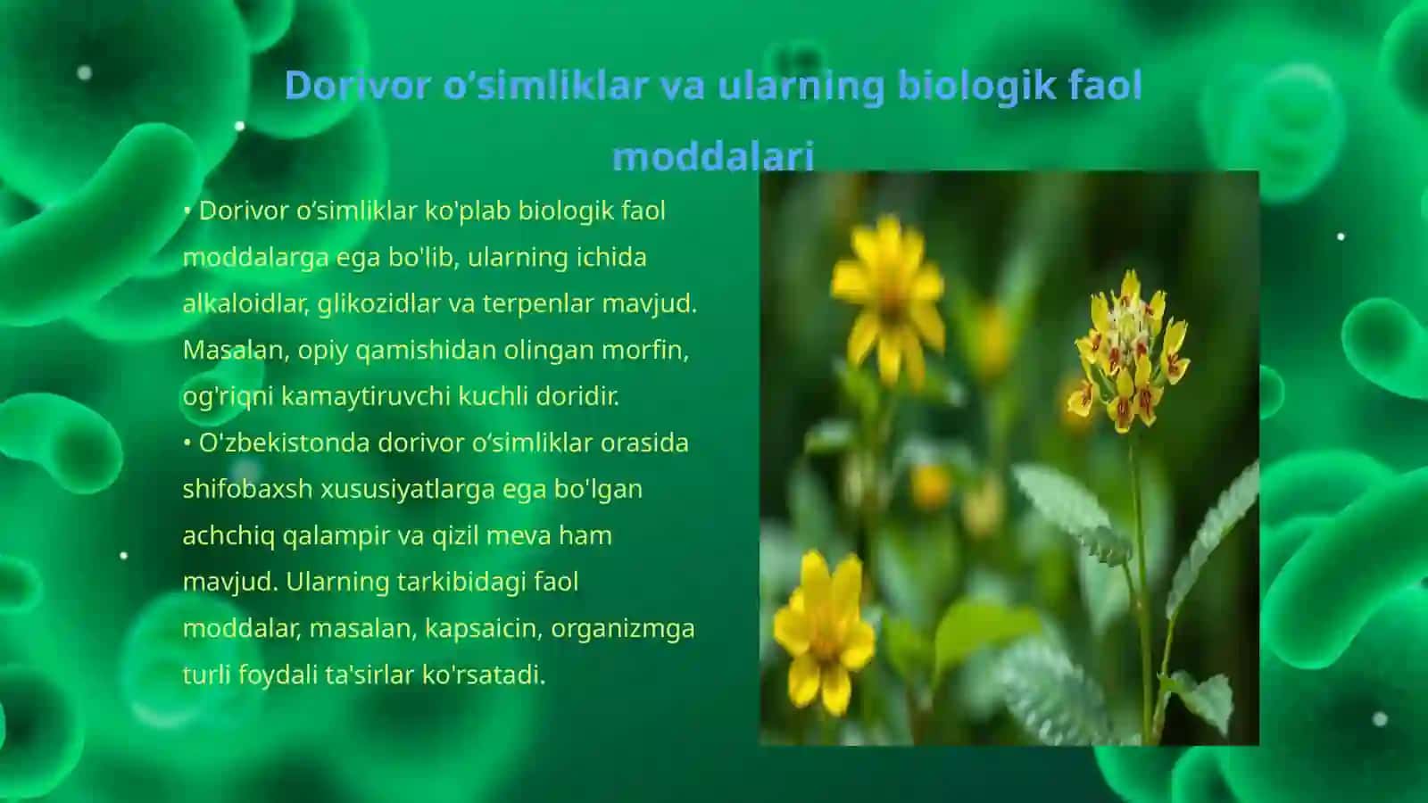 Dorivor oʻsimliklar bilan zaharlanish holatlari va ularning kimyo-toksikologik ta'siri 3