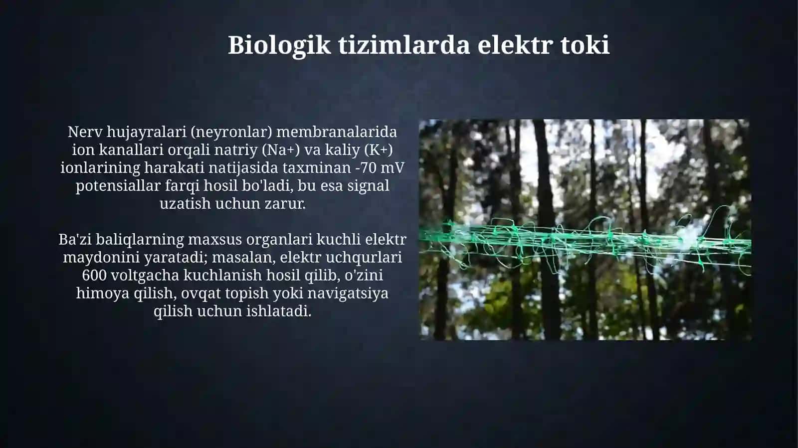 Elektr toki va uning biologik o'zgarishlari 3