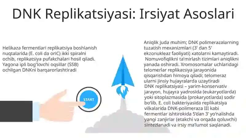 DNT replikatsiyasi va ta'miri 3