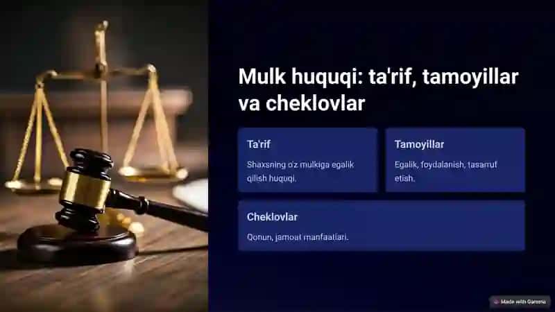 Mulkchilik va mulk huquqlari nazariyasi 3