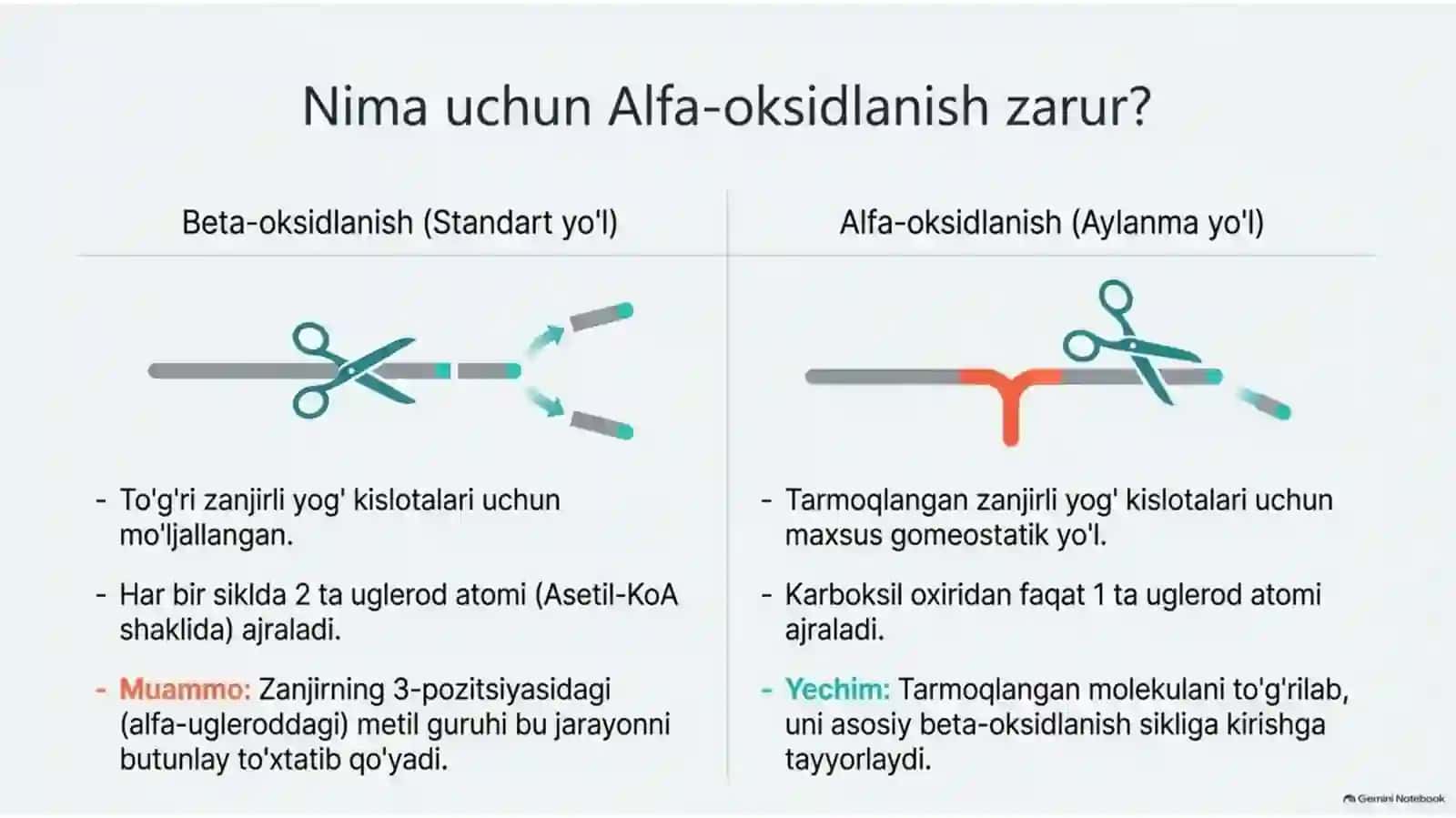Yog‘ kislotalarining α-oksidlanishi: ahamiyati va buzilishlari — 15 slayd 3