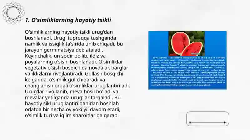 O’simliklar dunyosi mavzusida taqdimot 3