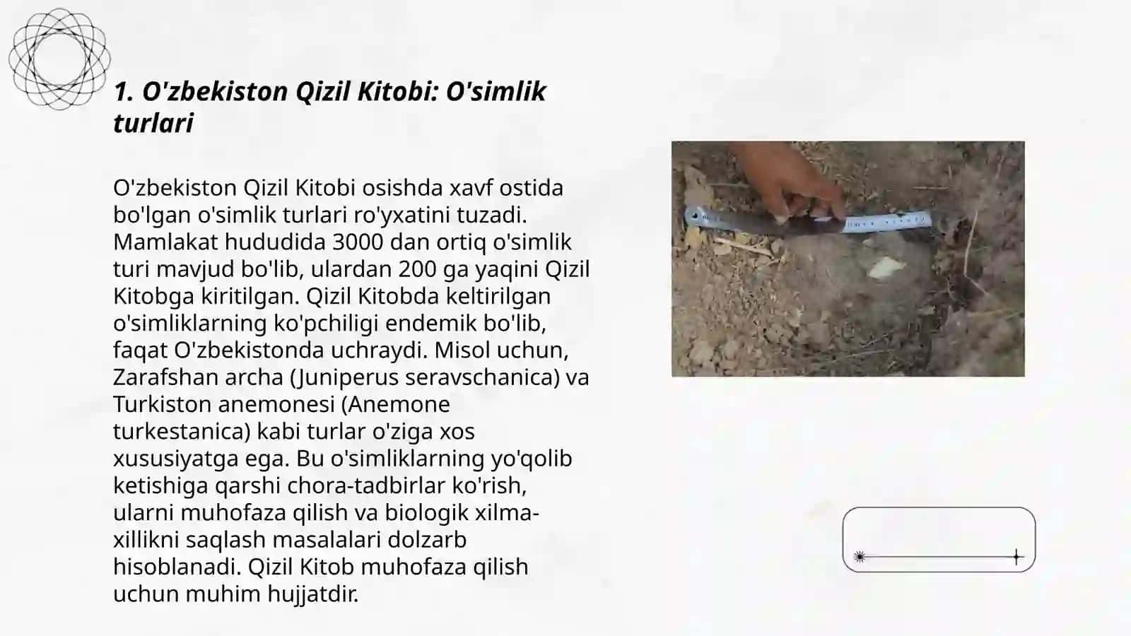 Turli mintaqalar bо'yicha Qizil Kitobga kiritilgan o'simliklar 3