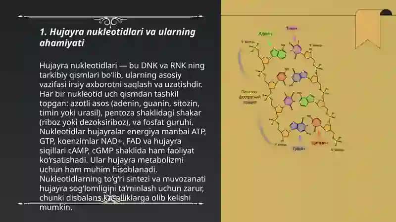 Hujayra nukleotidlari. Nuklein kislotalarning tuzilishi, klassifikatsiyasi va nomenklaturasi. 3