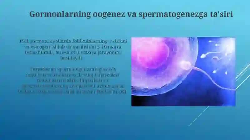Embriogenez ta'siri 3