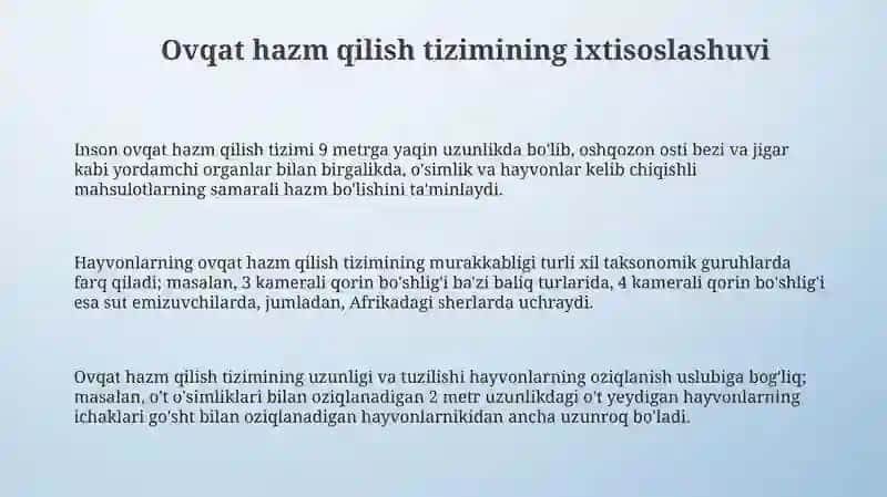 Ovqat hazm qilish tizimi 3