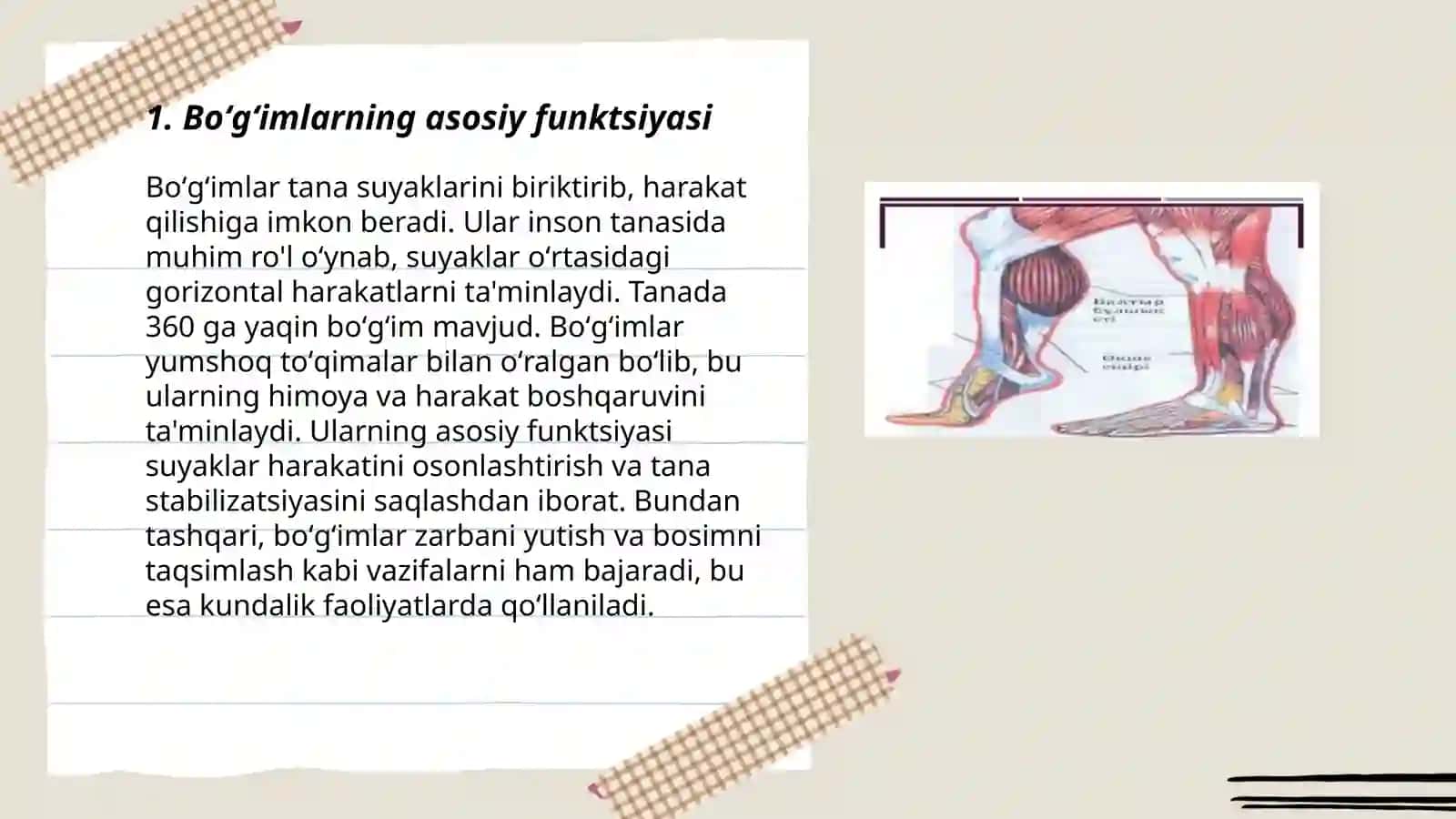 Boʻg'imlarning biomexanikasi. Birlashmalarning rentgenanatomiyasi 3
