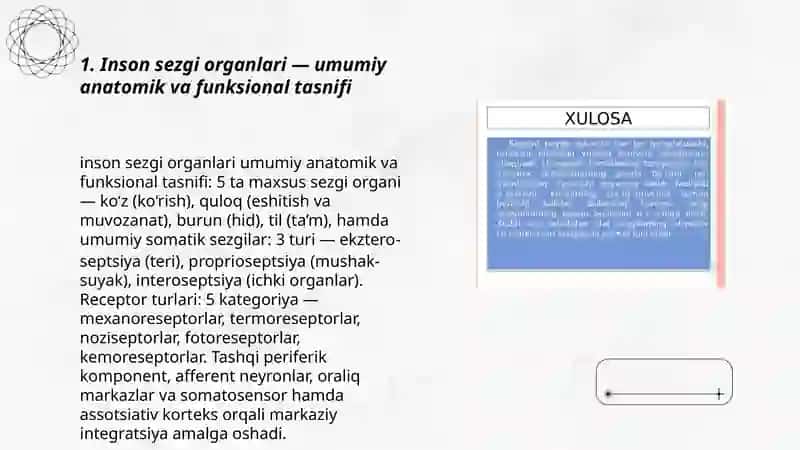Inson sezgi organlar anotomiyasi fiziologiyasi va patalogiyasi sezvi to'g'risidagi umumiy tushuncha sezgining neyrofiziologik asoslari Abdumo'minova Mubinaxon 3