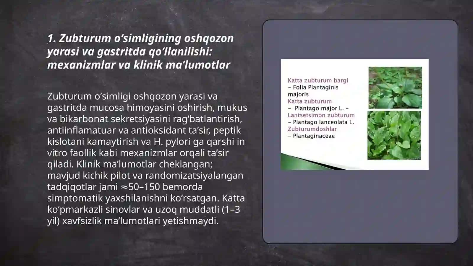 Zubturum oʻsimligining Hazm qilish sistemasi kasalliklarida qoʻllanilishi 3