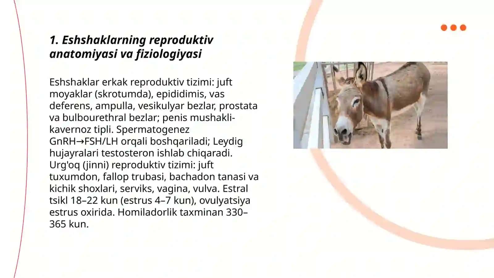 Eshshaklarning reproduktiv anatomiyasi va fiziologiyasi 3