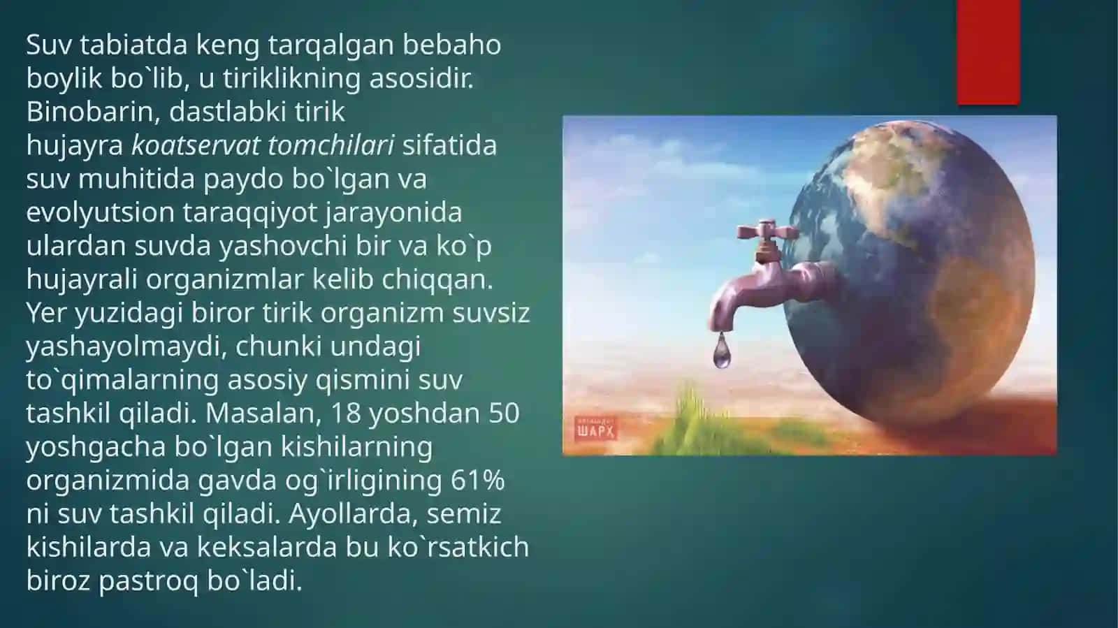 Suvdan foydalanish muammolari 3