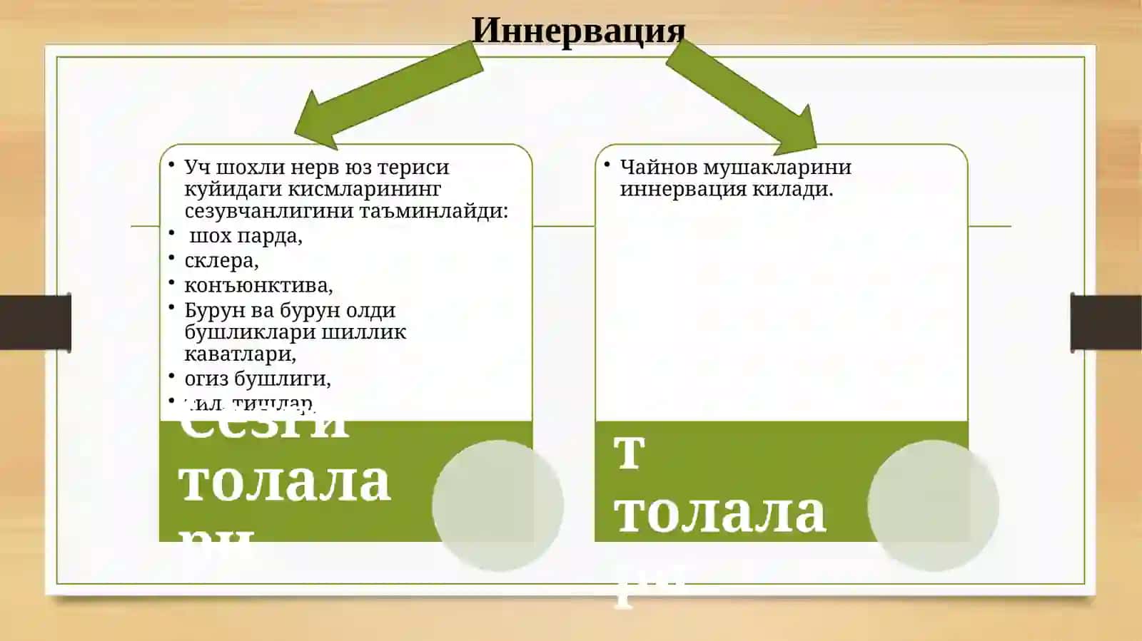 Учшохли нервлари зарарланишида чуррайдиган нейростоматологик синдромлар 3