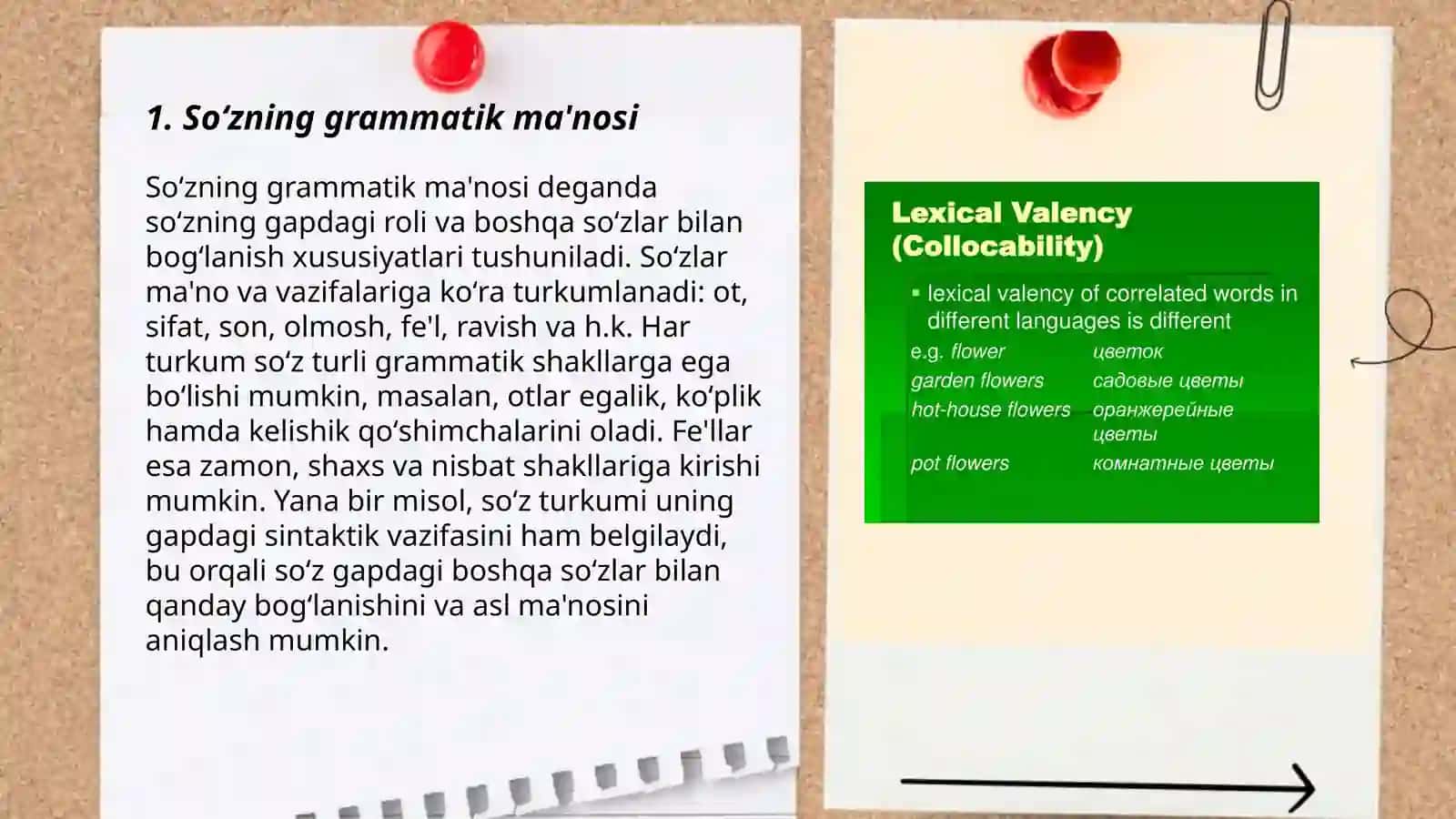 Soʻzning grammatik va leksik ma'nolari 3