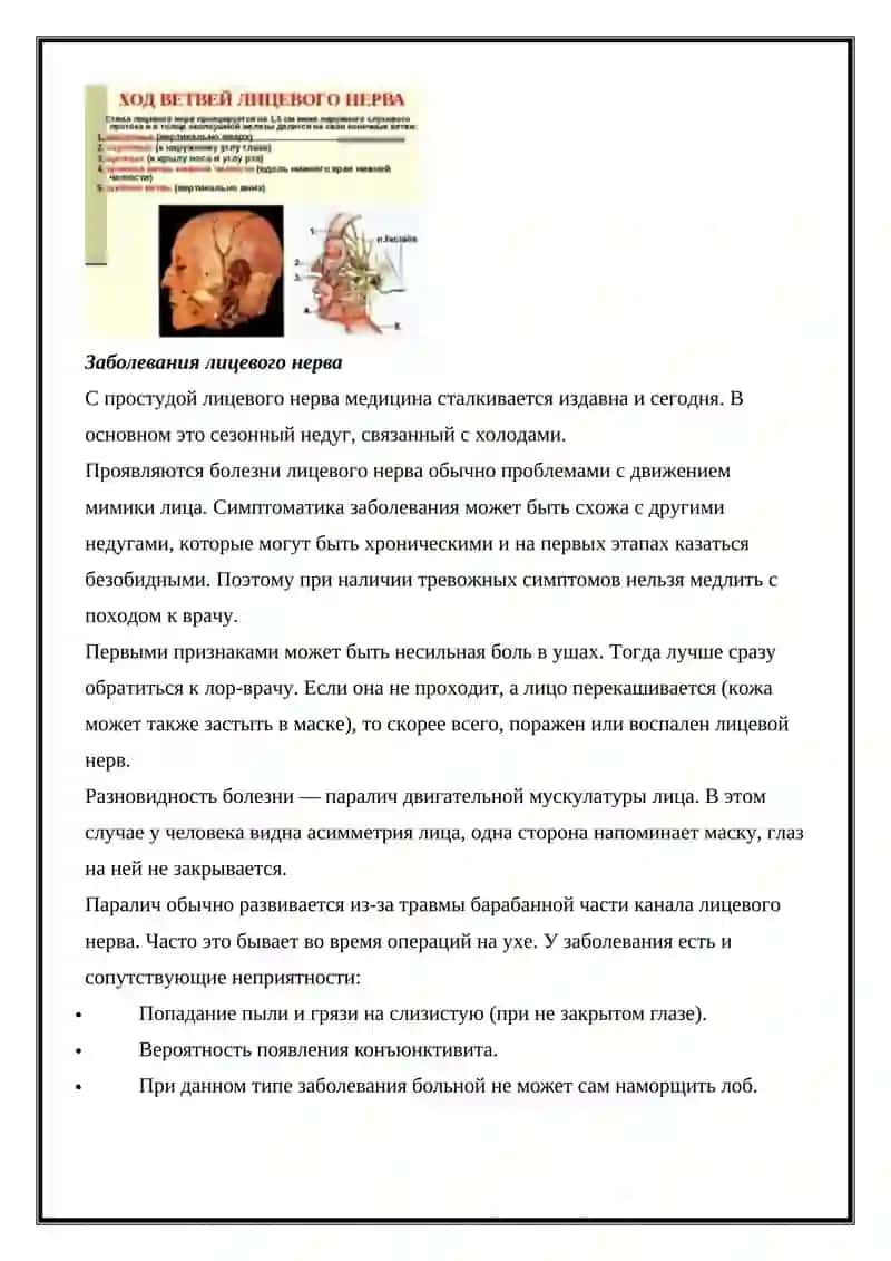 Анатомия и болезни лицевого нерва 3