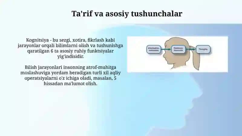 Idrok va uning xususiyatlari 3