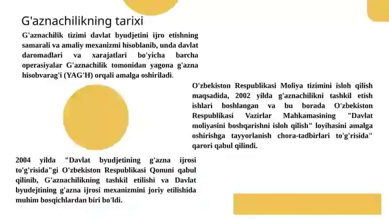 O‘zbekiston Respublikasi Moliya vazirligi G‘aznachiligi faoliyatini tashkil etish 3