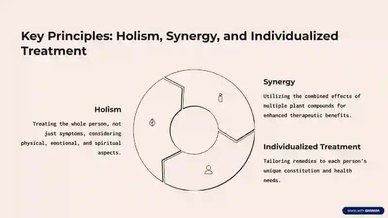 Herbal Medicine: Unveiling the Potential 3
