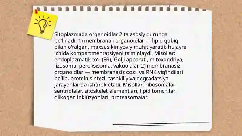 Sitoplazma organoidlarining klassifikatsiyasi 3