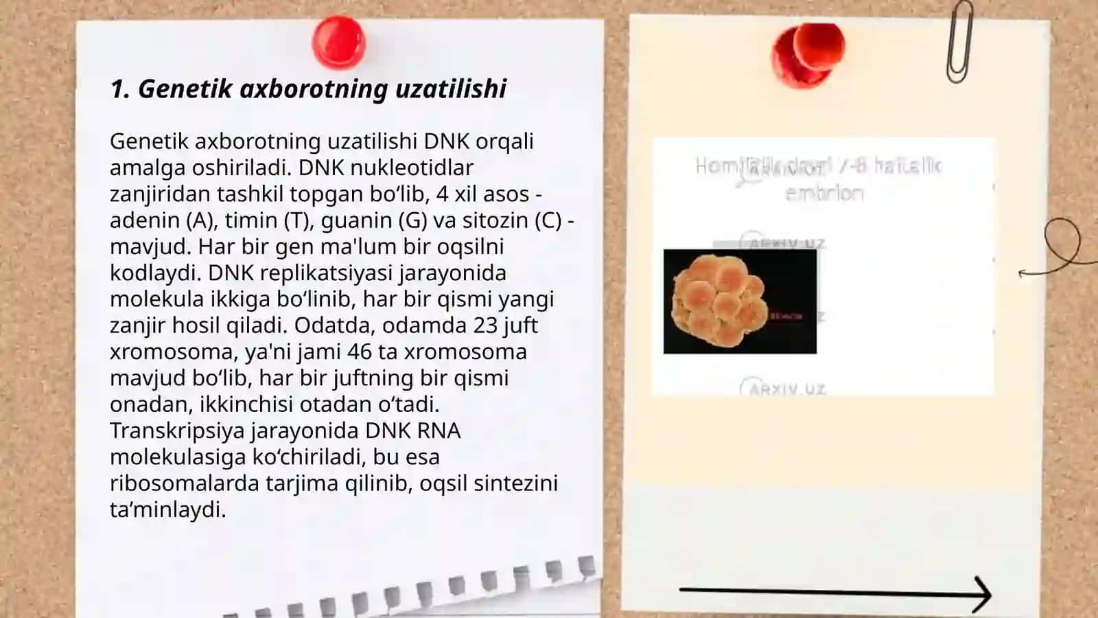 Genetik axborotning uzatilishi 3