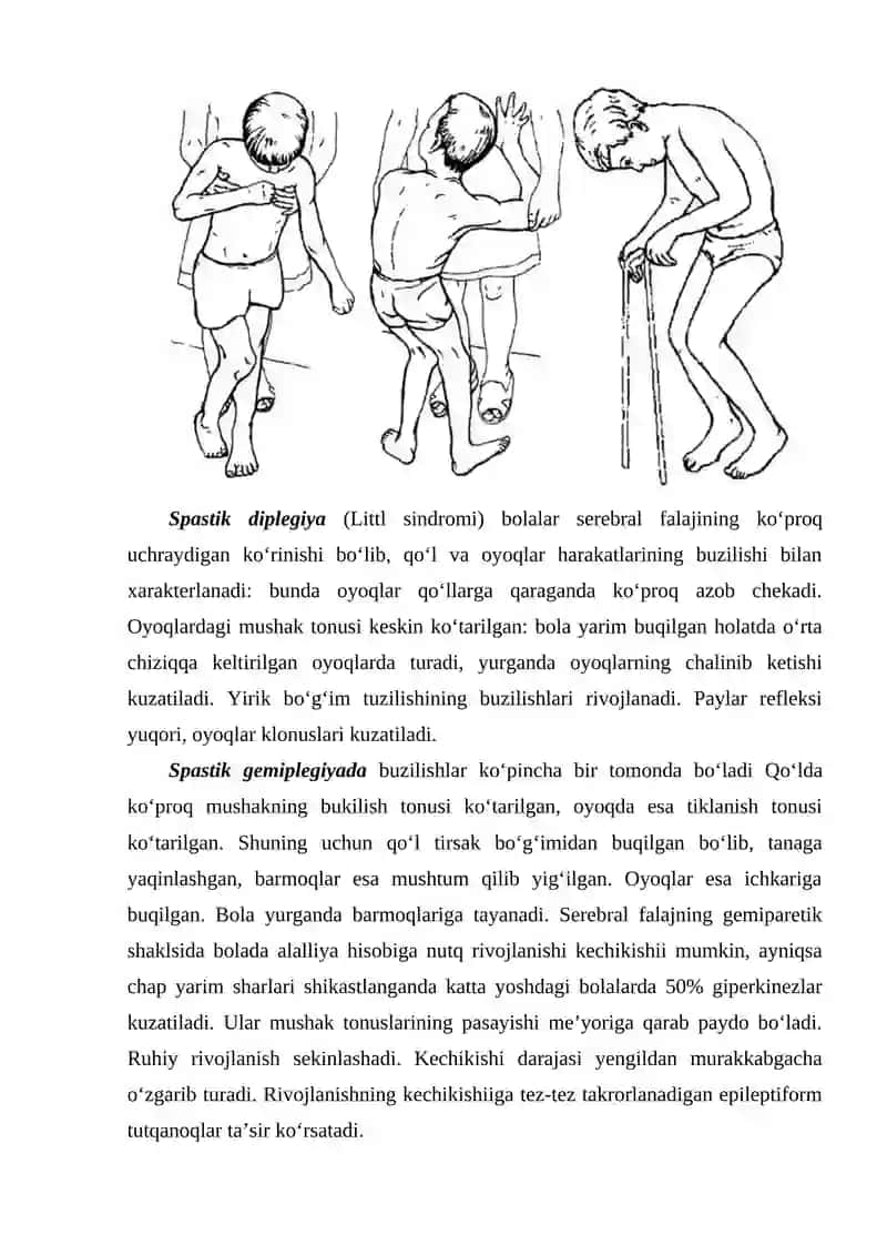 IMMUNOGENEZ A'ZOLAR. IMMUN TIZIMINING MARKAZIY VA PERIFERIK A'ZOLARI. IMMUN JAVOBDA HUJAYRALAR KOOPERASIYASI 3