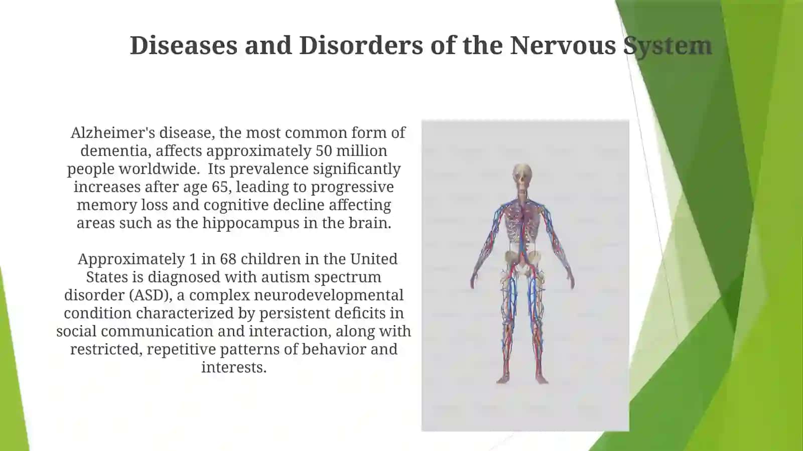 Nervous System 3