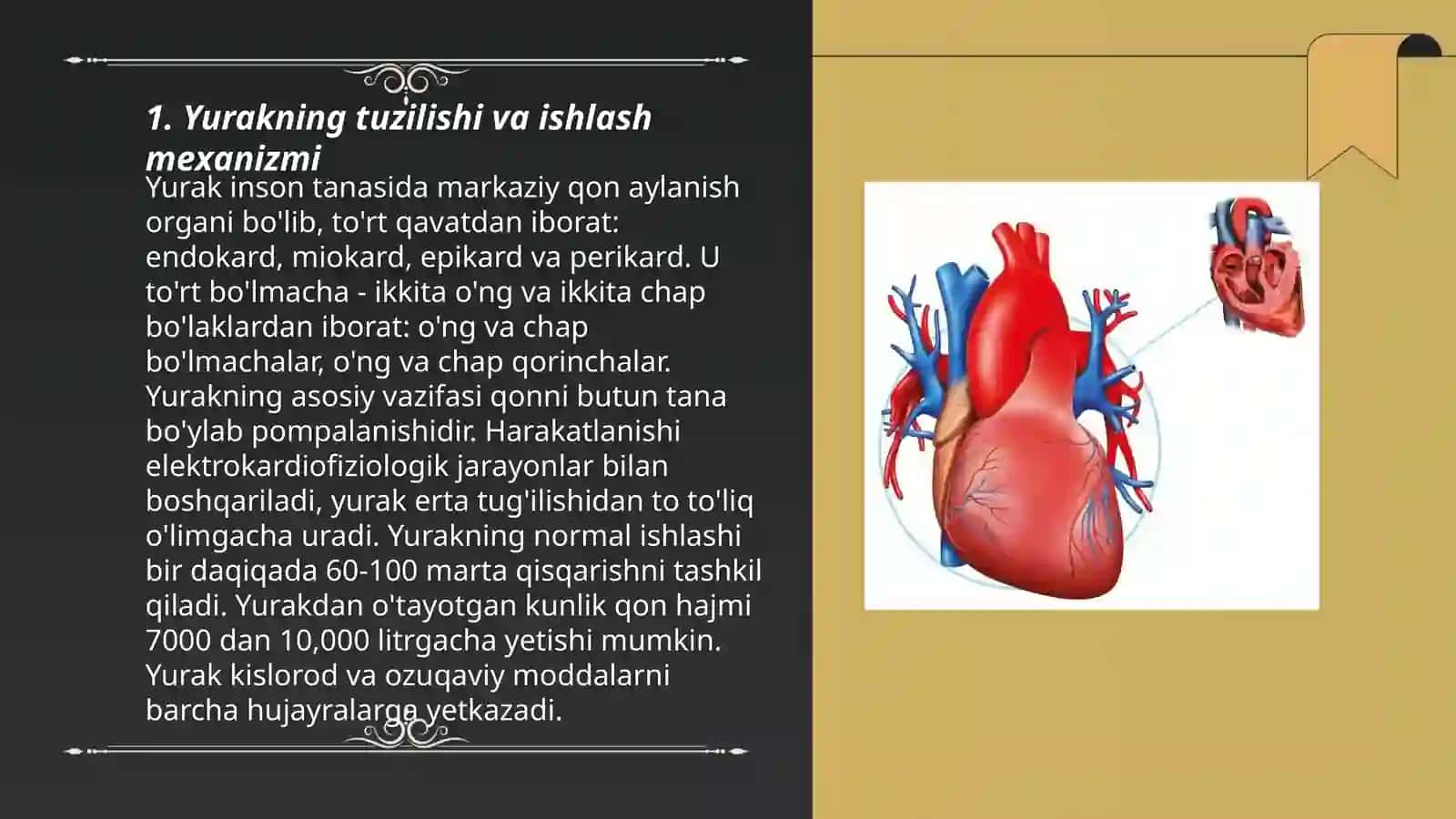 Yurakning tuzilishi va ishlash mexanizmi 3