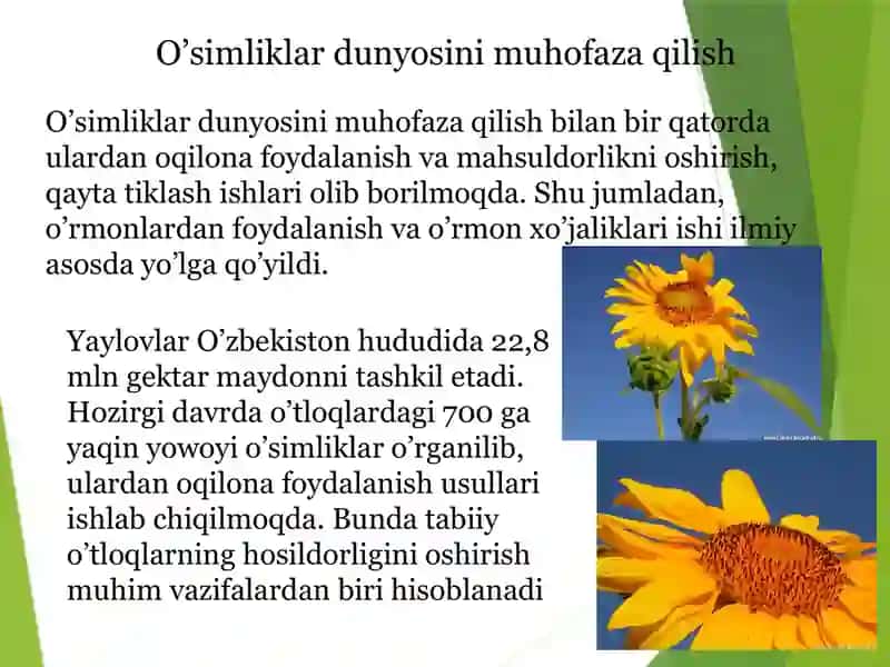 O’simliklar olamidan foydalanish va uni muhofaza qilish 3