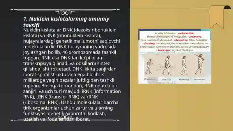 Nuklein kislotalarning turlari va ularning ahamiyati 3