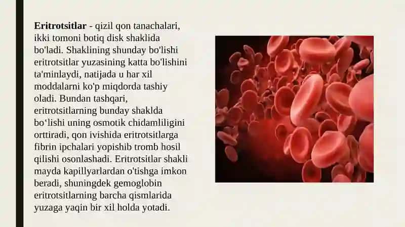 Eritrotsitlar. Gemoglobin va uning turlari 3