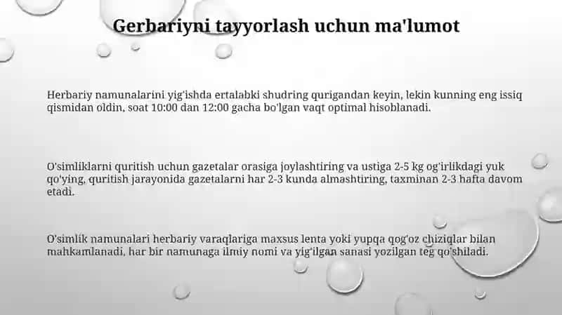 Gerbariy tayyorlash va tayyorlash usullari 3