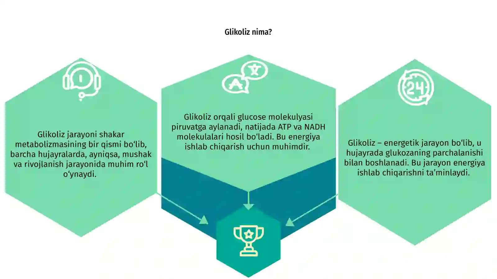 Glikoliz 3
