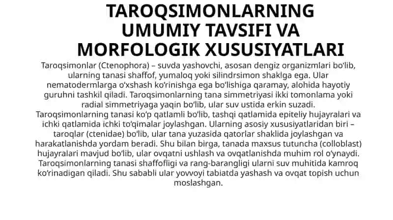 Taroqsimonlar (Ctenophora) 3
