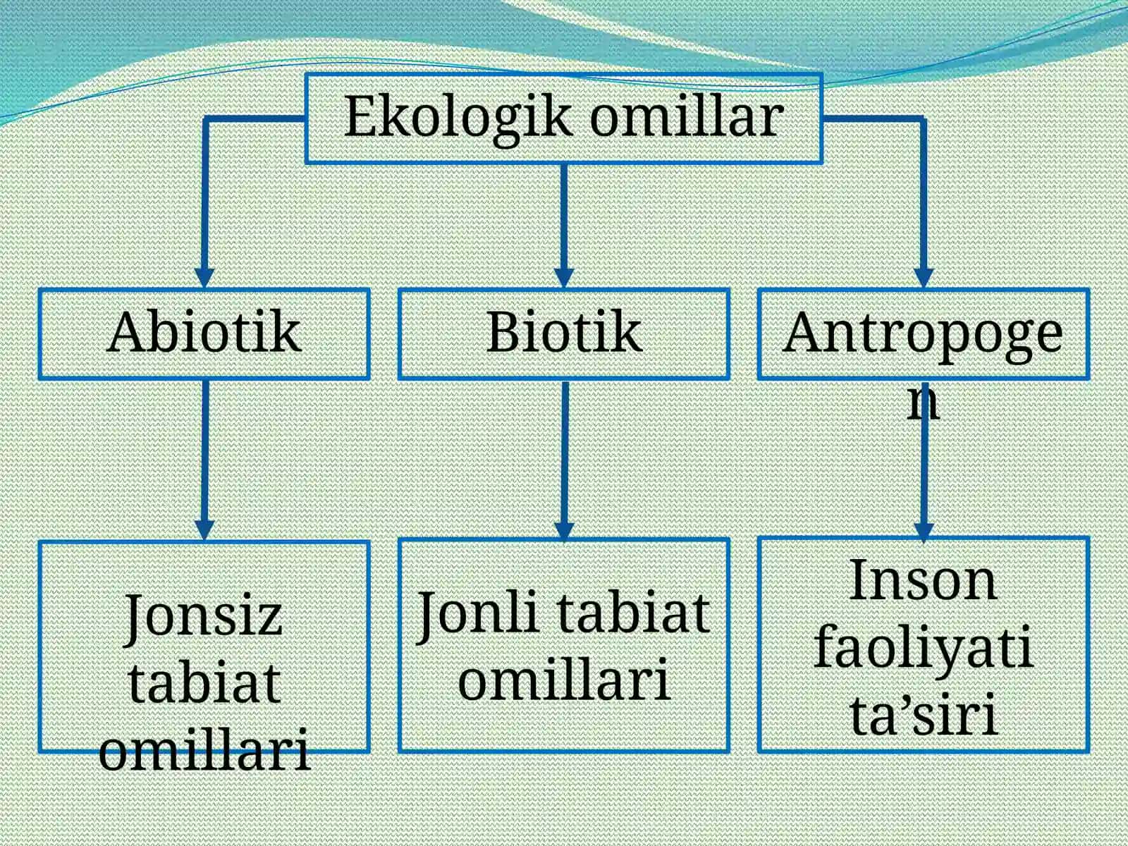 Biotik va antropogenomillar va ularning o‘simliklar qoplamlari gata’siri 3