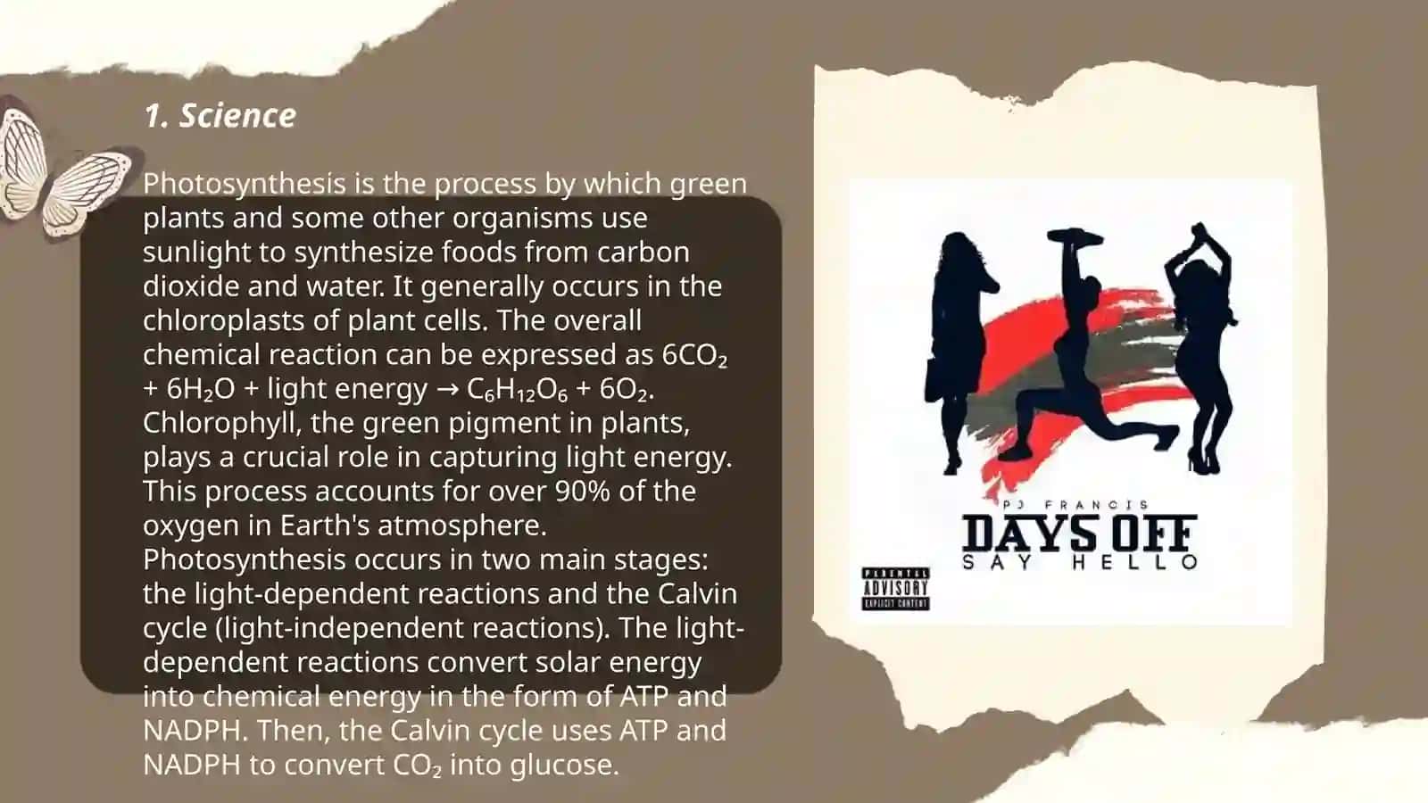 Photosynthesis Process 3