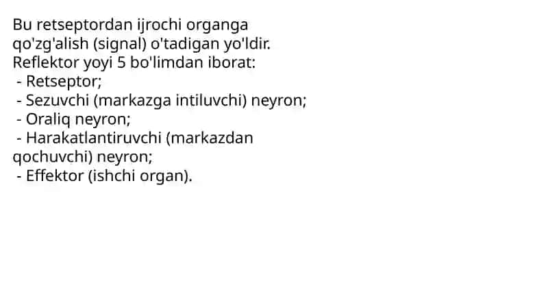 Oddiy refeks yoyi. Sezuv o‘tkazuv yoʻllari. Harakat o‘tkazuv yo‘llari. Oddiy refeks yoyi. 3