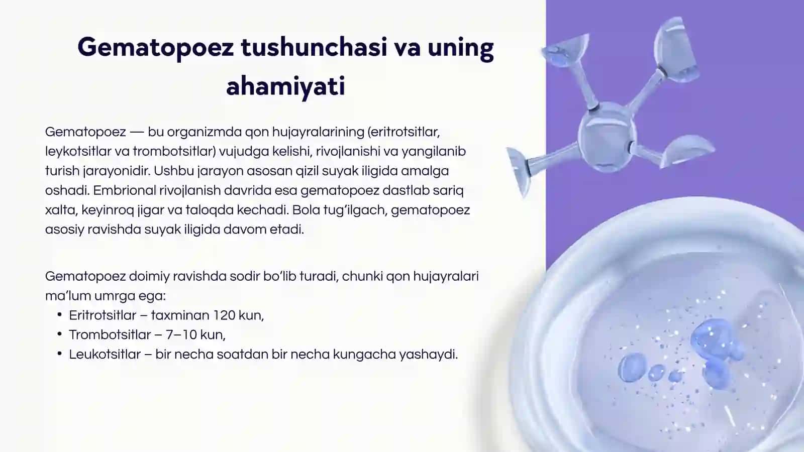 Gematopoez nazariyalari. Qonning o'zak hujayrasi morfo-funksional xarakteristikasi 3